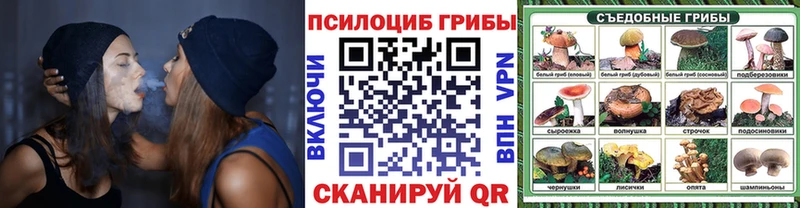 Галлюциногенные грибы ЛСД  Купить закладки  Бабаево 