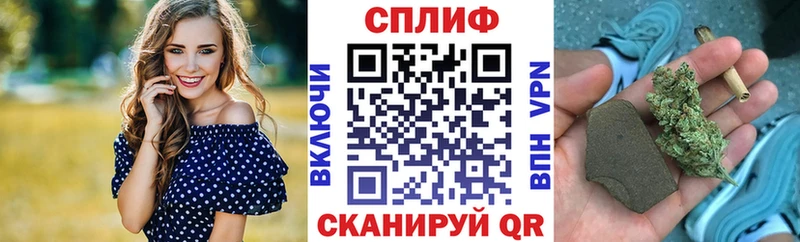 Каннабис AK-47  Купить закладки  Бабаево 